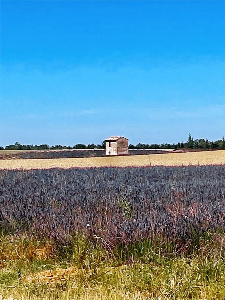 Maison de vacances Puimoisson