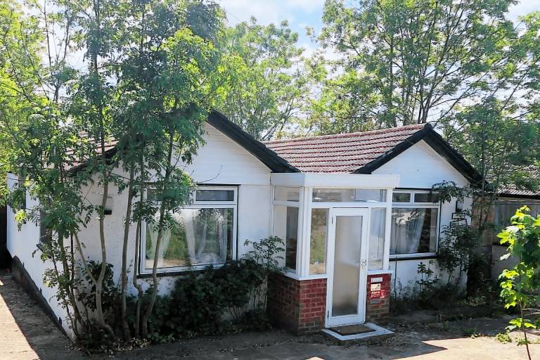 Cottage Orpington
