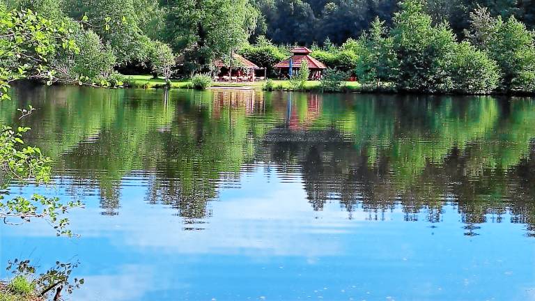 Ferienwohnung Ludwigswinkel
