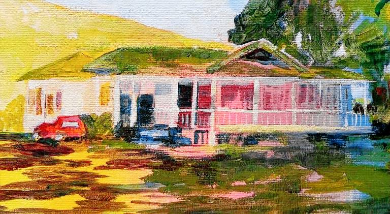 Hale Naalehu LLC Bed and Breakfast in Øyer