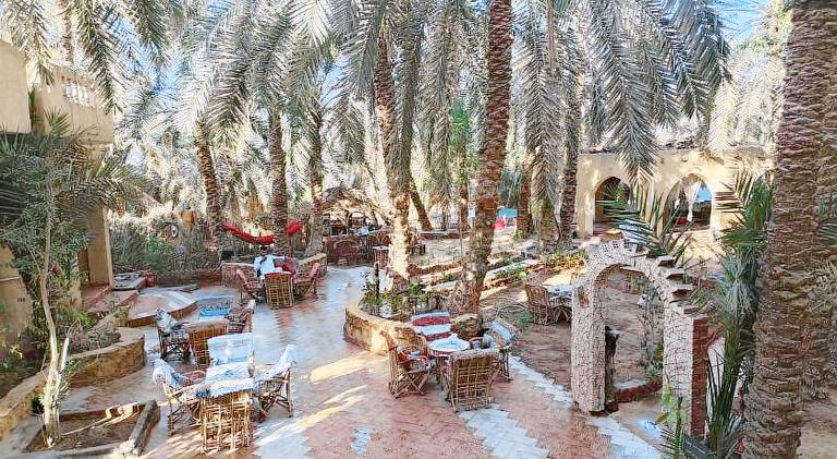 فندق النخيل — photo 3