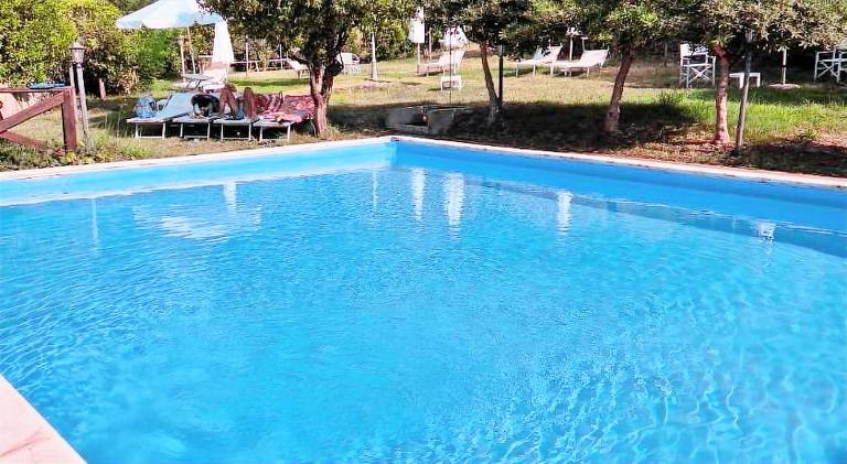 Vacation home with pool, patio & grill | Perfect for remote work | Dogs allowed — photo 4