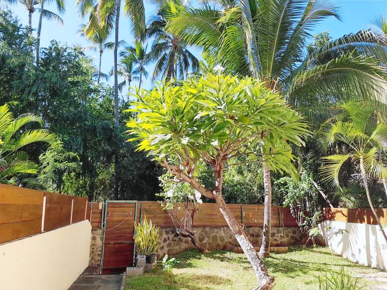 Appartement Saint-Gilles les Bains