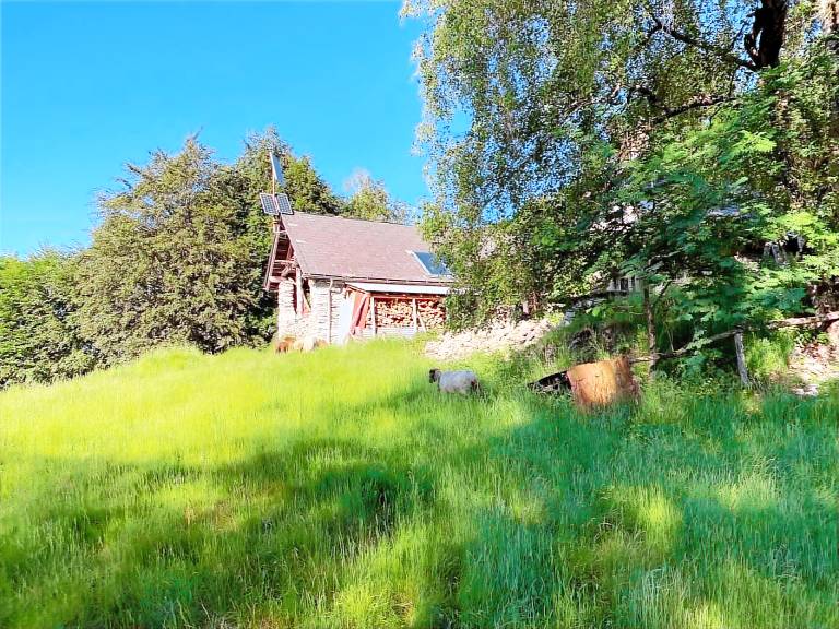 Ferienwohnung Ronco sopra Ascona