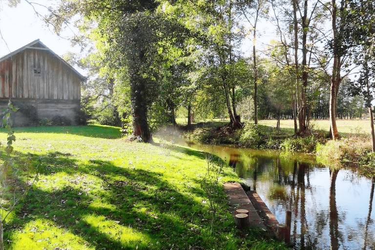 Ferienwohnung  Burg (Spreewald)