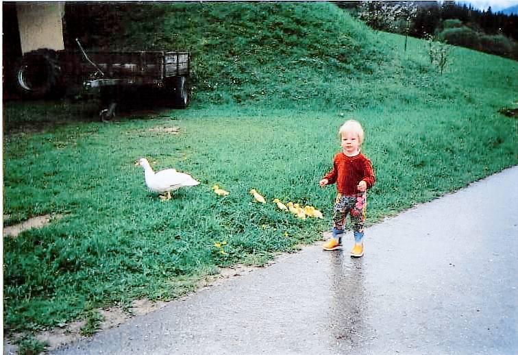 Ferienwohnungen Steinerbauer — photo 2