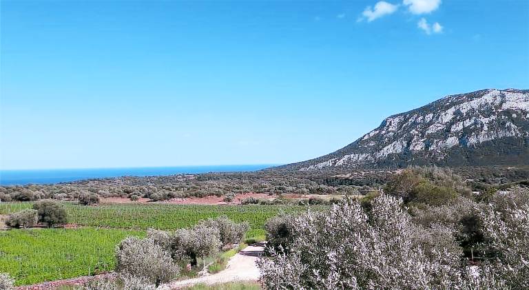 Farm with BBQ, terrace & garden | Pet-friendly in Dorgali