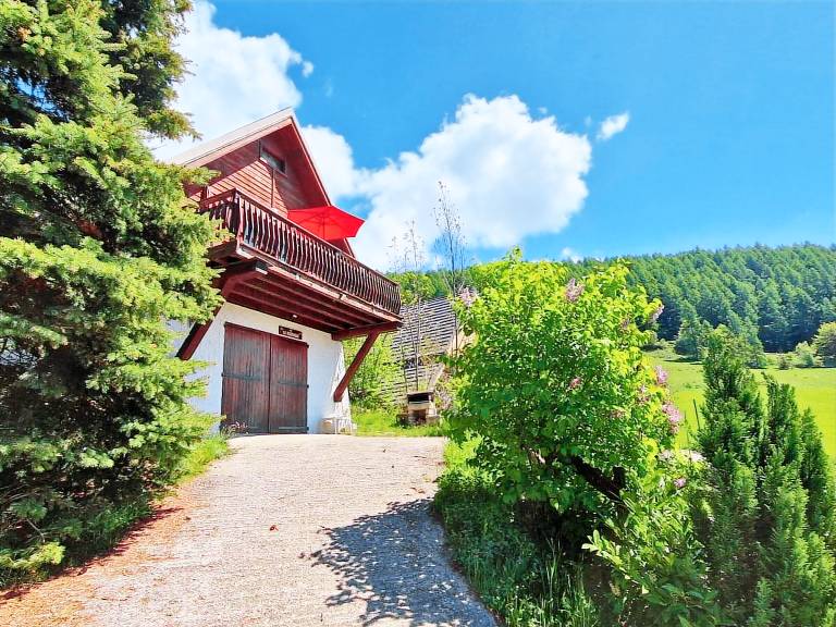 Chalet Saint-Bonnet-en-Champsaur