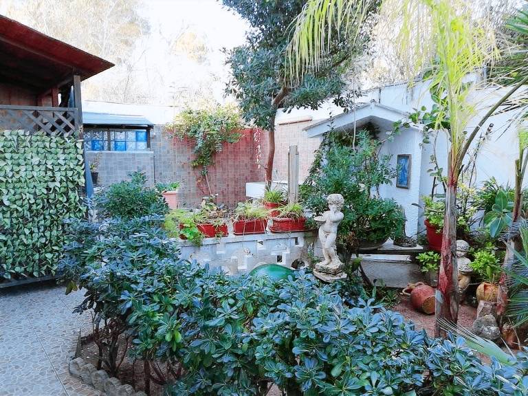Apartment with yard | Next to the beach | Dogs allowed — photo 5