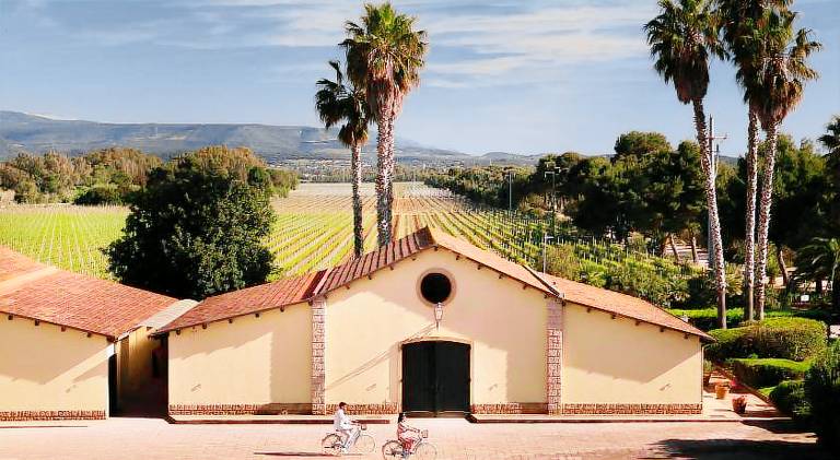 Agriturismo  Tenuta Sella e Mosca