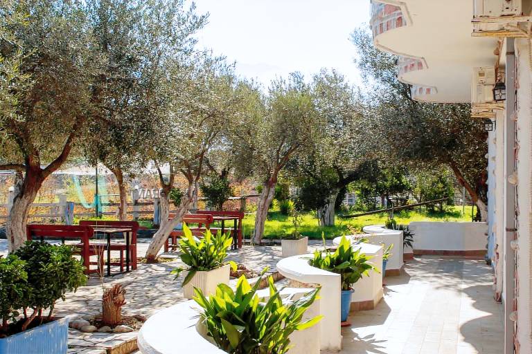 Oasis Hotel — photo 3
