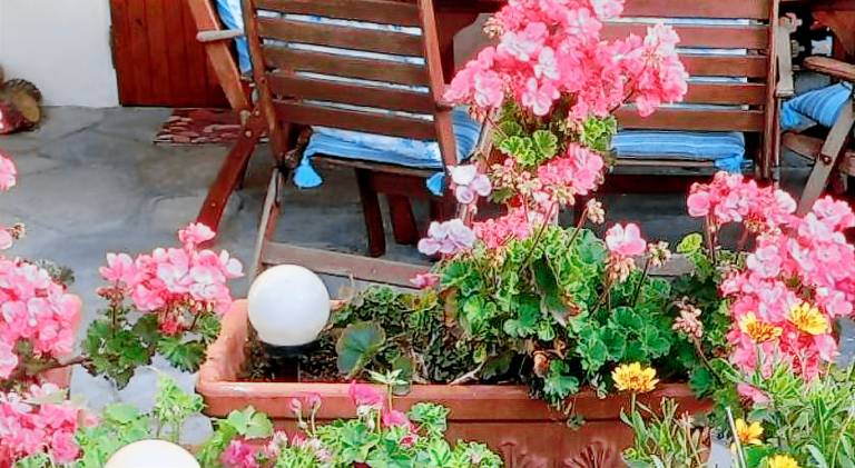 Holiday apartment | Dogs allowed in Thessaloniki