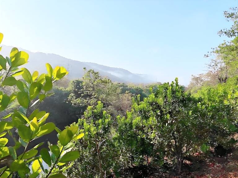 Desai's Mango Retreat in Ratnagiri