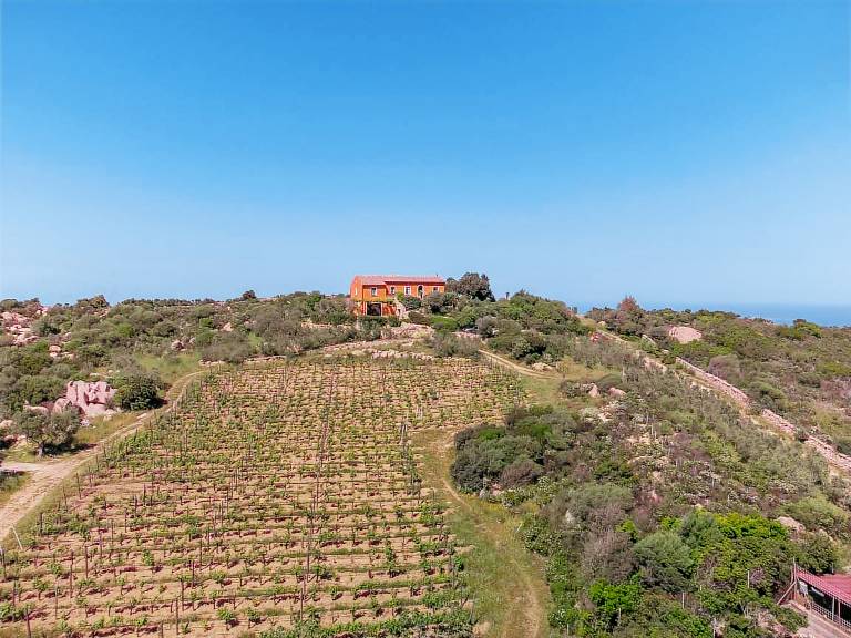 House with terrace, barbecue & yard | Sea view | Pets are welcome — photo 2