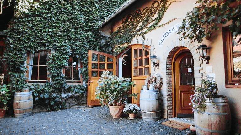 Ferienwohnung Ingelheim am Rhein