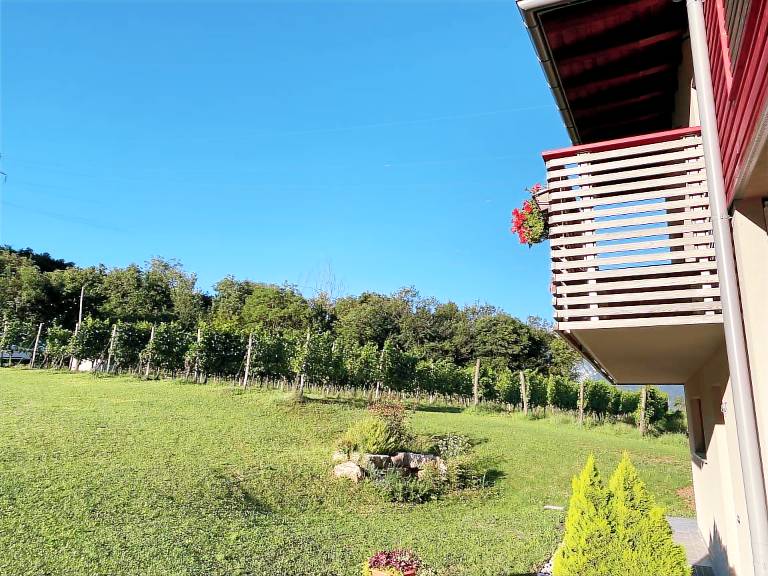 Agritur Verderame: Coel — photo 5