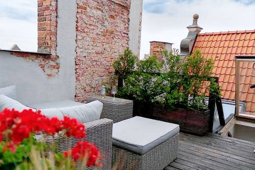 Apartament Toruń