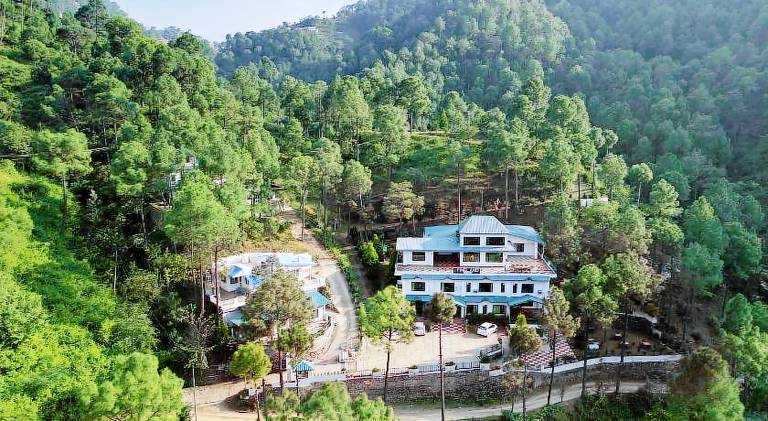 Pineland Chalets And Resort in Solan