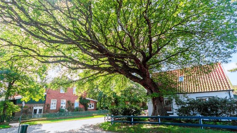 Ferienhaus Spiekeroog