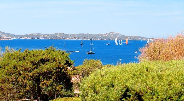 Holiday apartment with pool in Olbia
