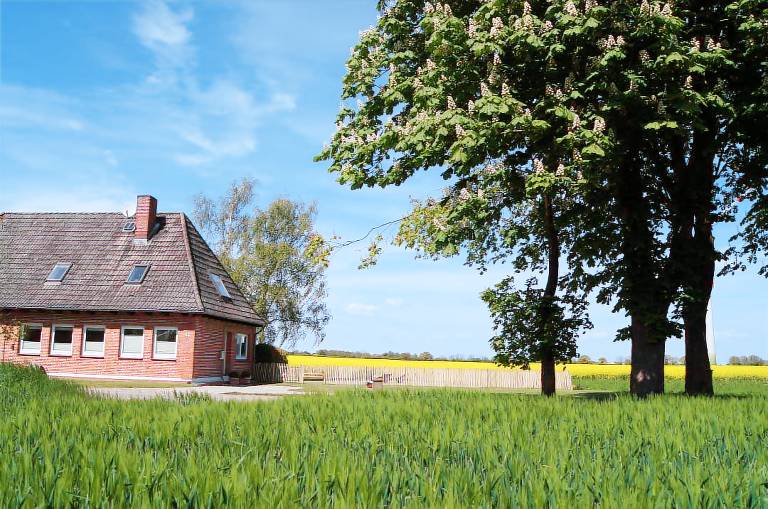 House with BBQ, garden & sauna — photo 3