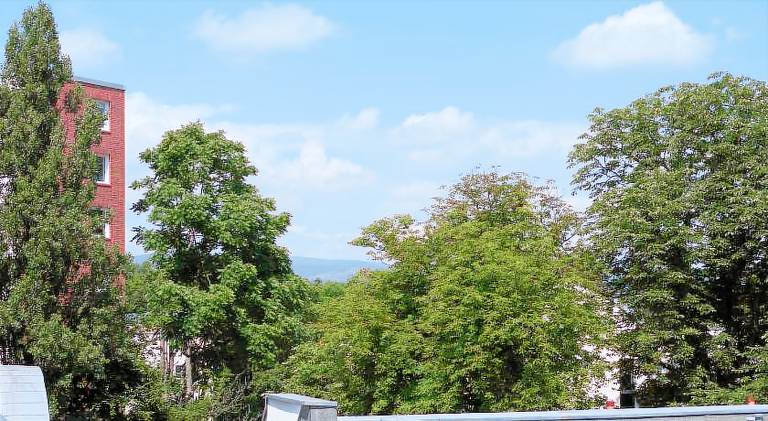 foto4
