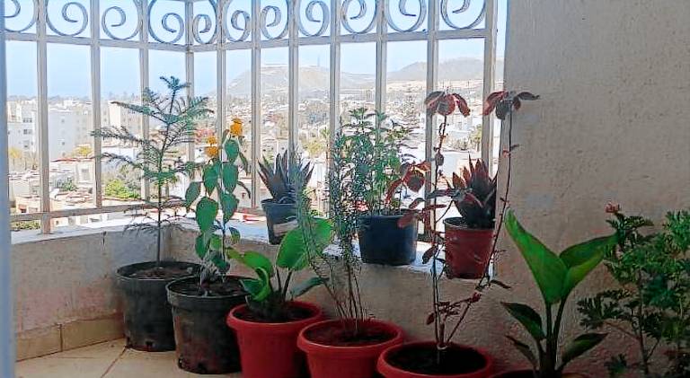 Holiday apartment | Pets are welcome — photo 4