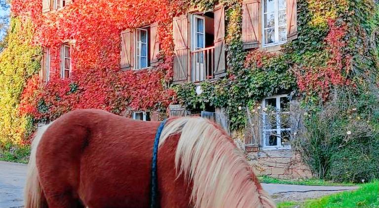 Le moulin de vaux in Paray-le-Monial