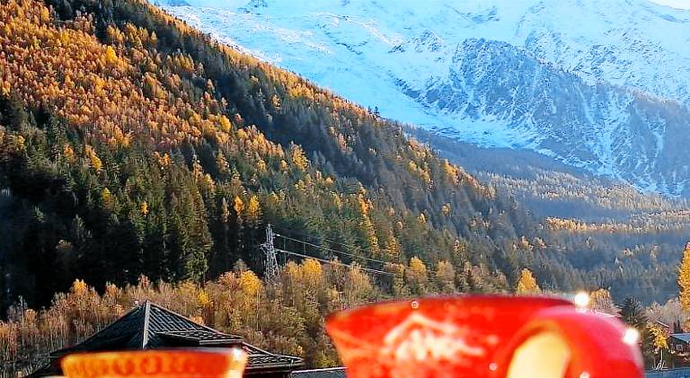 Lovely rental apartment | Dogs allowed in Chamonix-Mont-Blanc