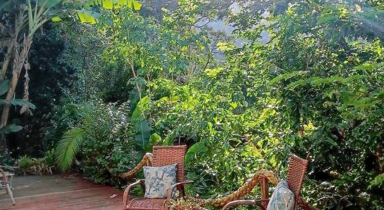 Suites casa do indio jungle, a melhor vista da floresta — photo 3