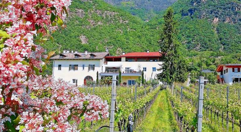 Bed & Breakfast  Bozen