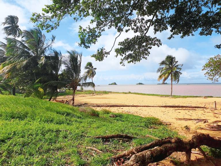 Appartement Cayenne