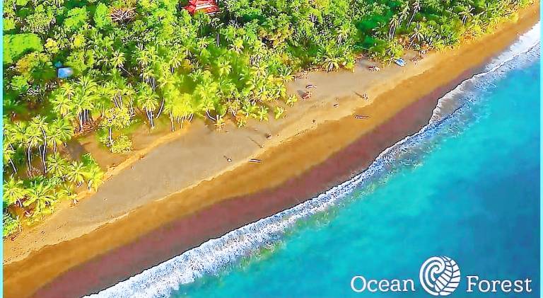 Ocean Forest Ecolodge in Puntarenas