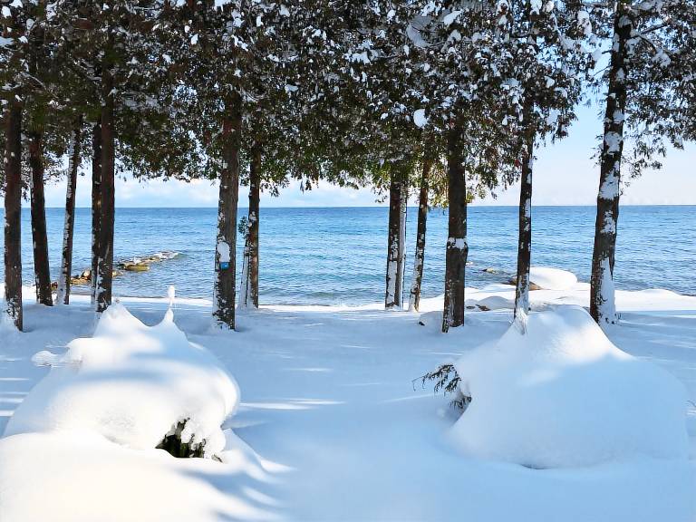 Cottage  Meaford