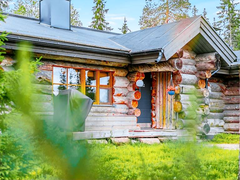 Vacation home with sauna — photo 4