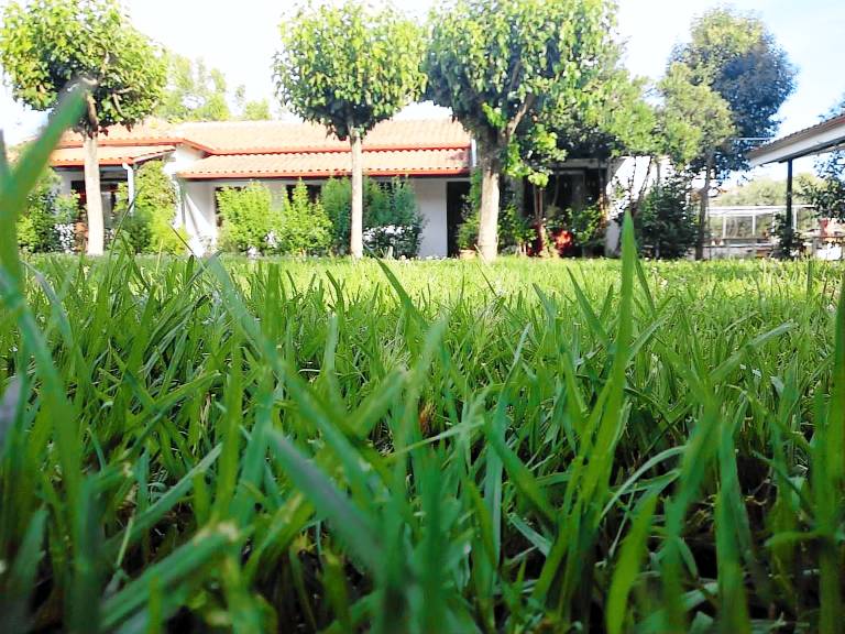 Rental apartment with terrace, barbecue & yard | Garden view in Igoumenitsa