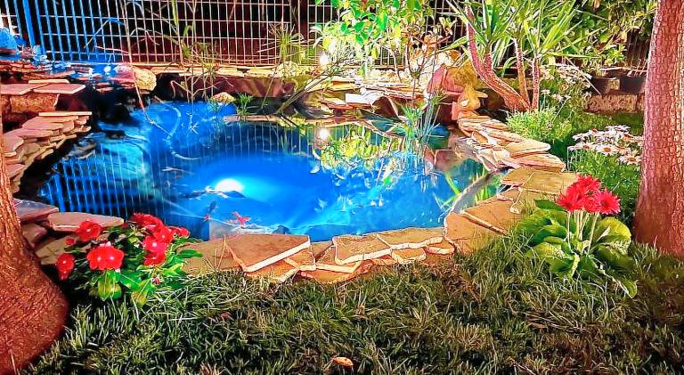 Villa Latino — photo 4