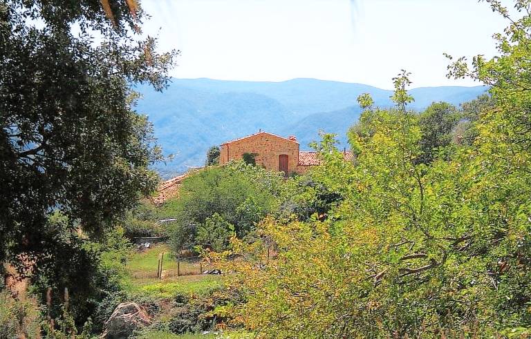 Privatzimmer Caronia