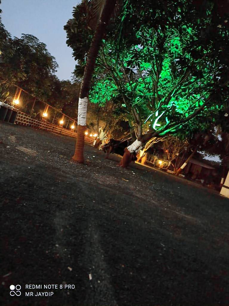 House Sasan Gir