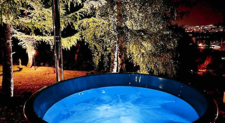 Chalet with hot tub & pool — photo 4