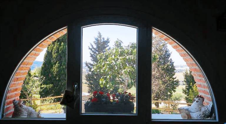 B&B Il Poggio di Fiore — photo 5