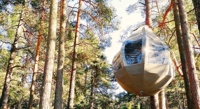 Feeling cone in Jurmala