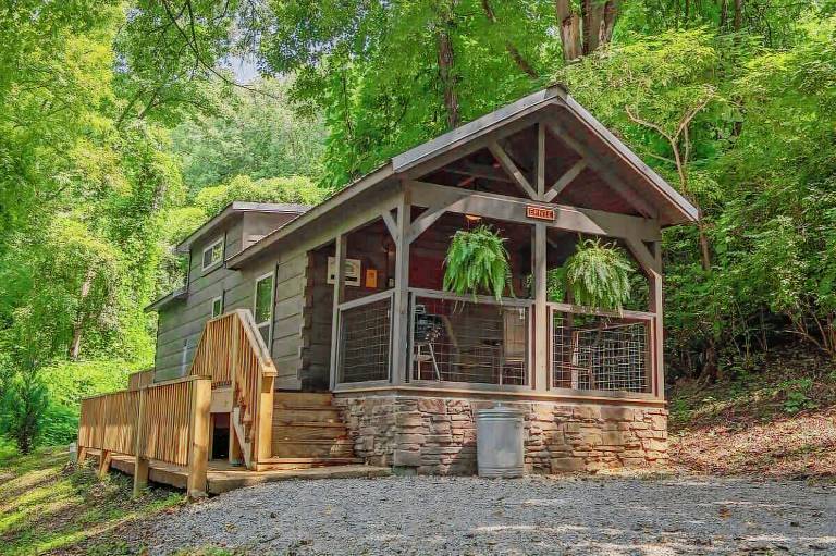 Cabin  Piney Woods
