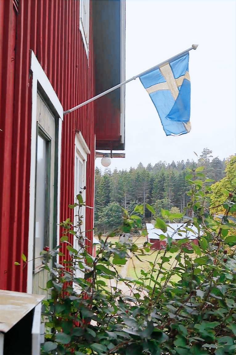 foto1