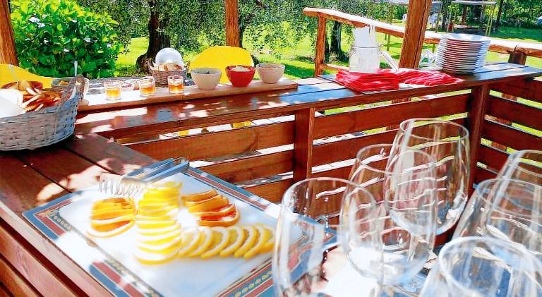 Charming farm with BBQ, private pool & patio | Pet-friendly — photo 4