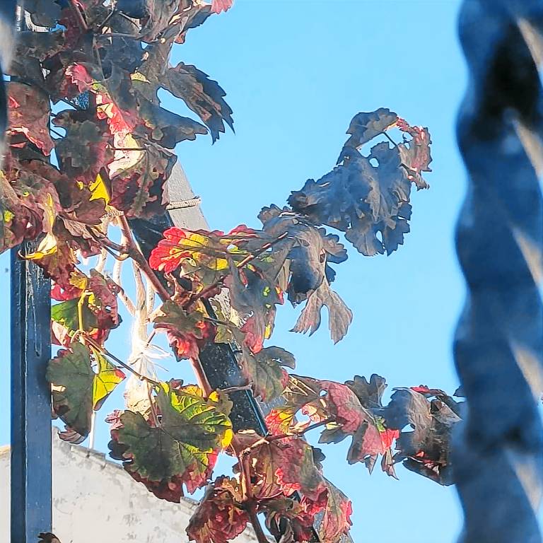 foto4