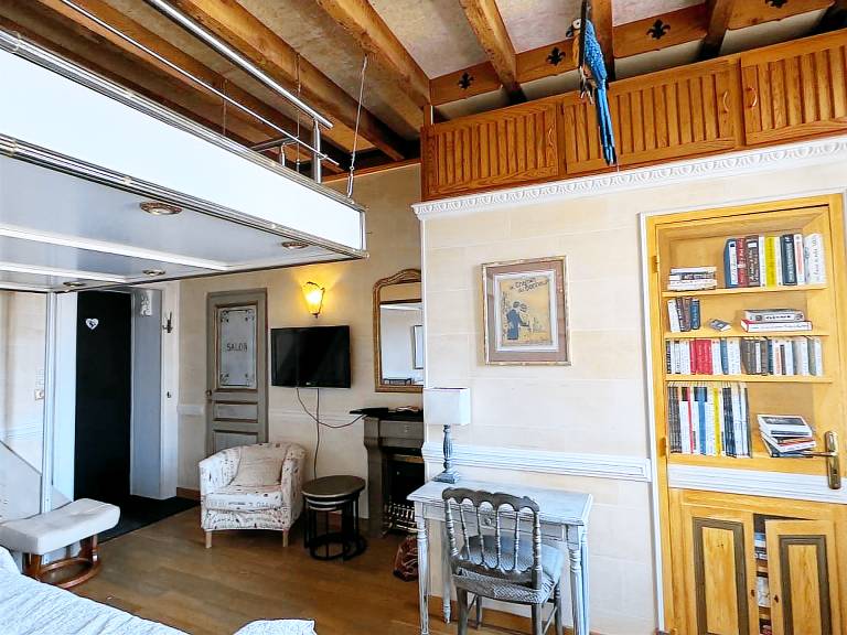 Charming apartment, pets welcome, mountain view - 2 guests — photo 4