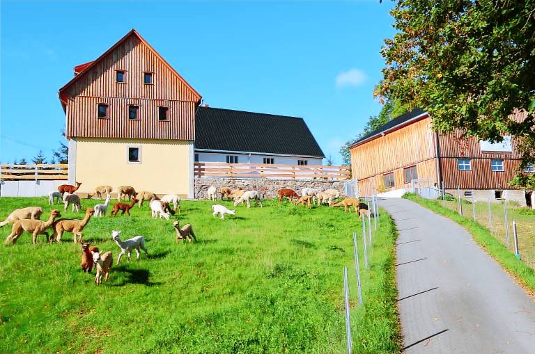 foto1