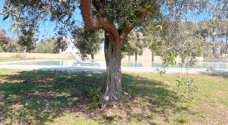 Tenute Masseria Notari Borgagne — photo 2