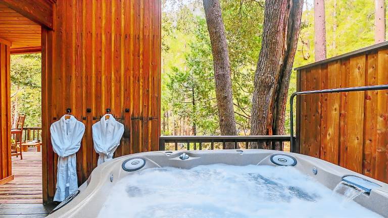 Cabin Idyllwild-Pine Cove